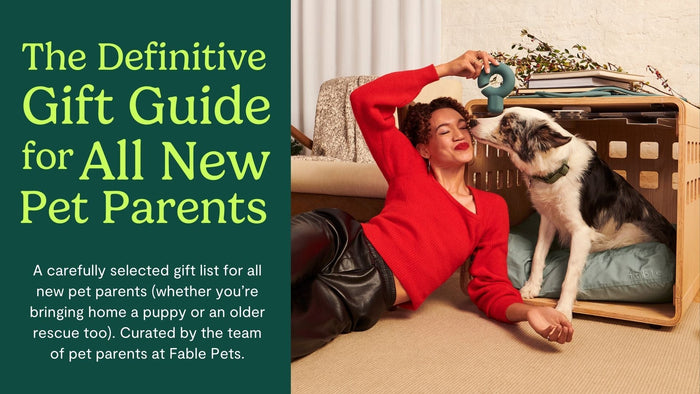 woman at christmas tree with Fable dog crate, a small yorkiepoo and a border collie at her side