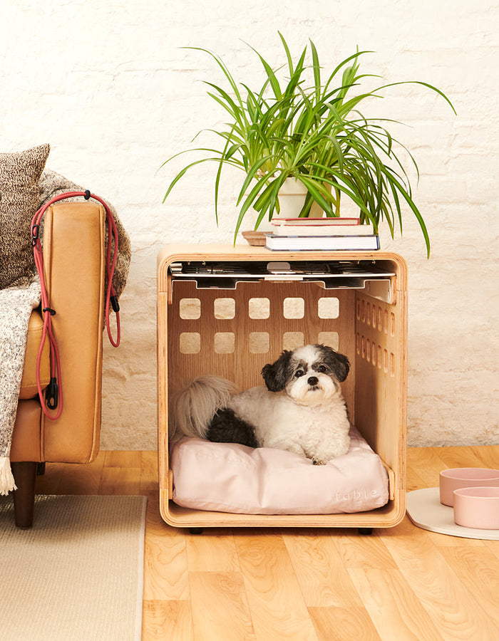 A Yorkie Poo relaxes in a Fable Pets wooden dog crate next to a sofa.