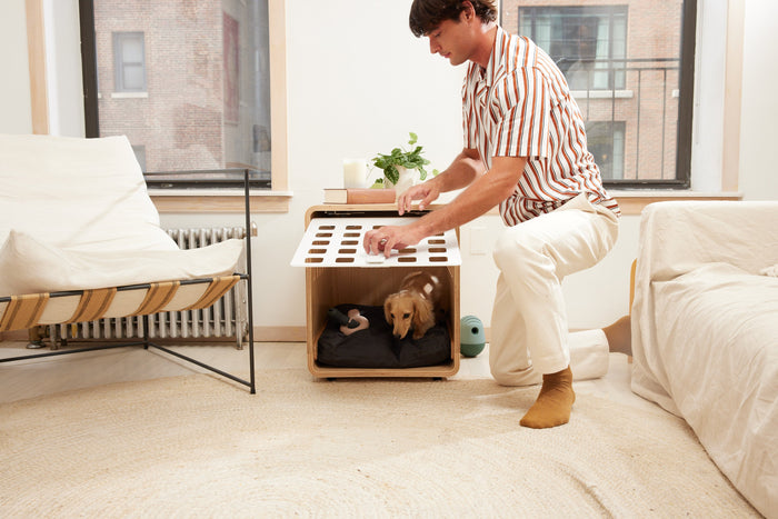 Why is Crate Training Important?